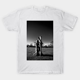 The Window Tree T-Shirt